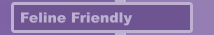 Feline Friendly